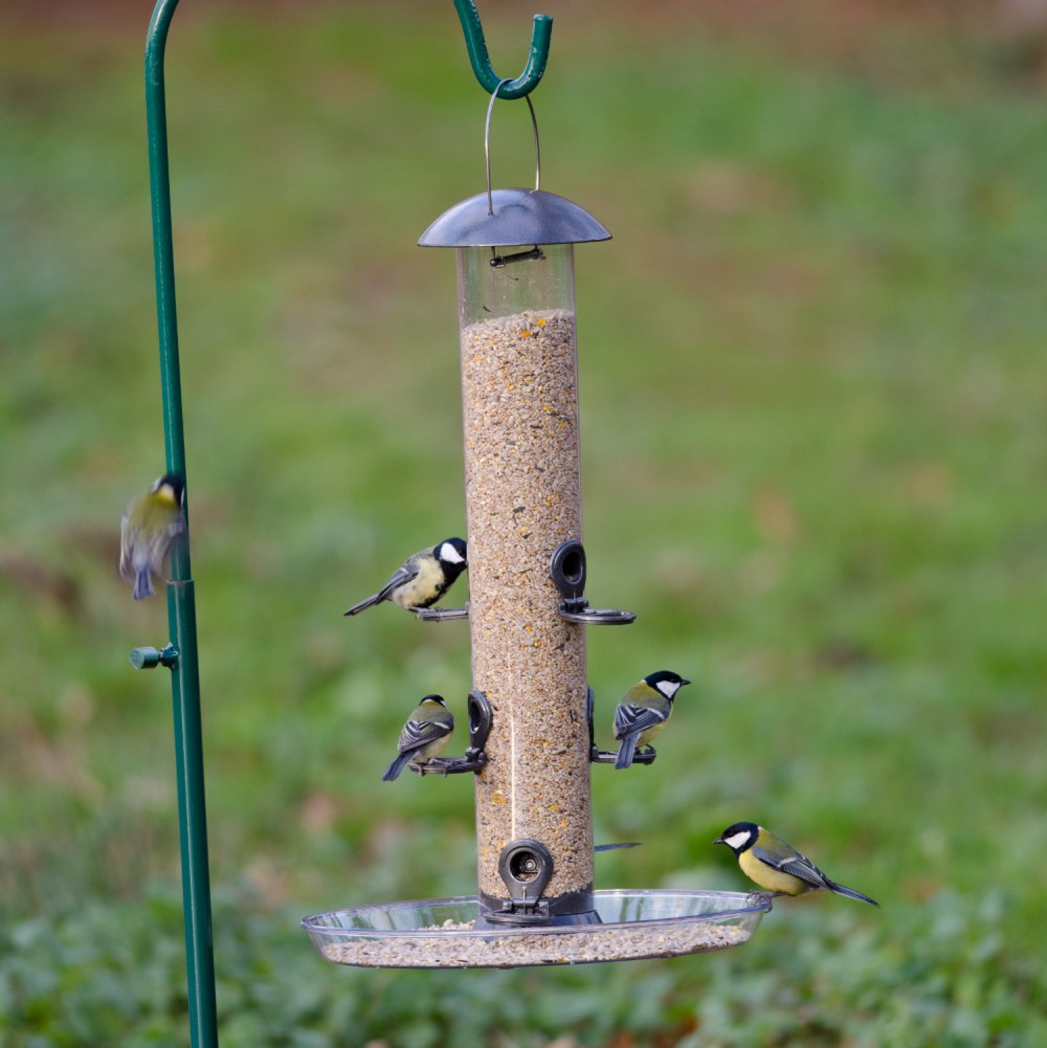 Auffangschale maxi Ø 36 cm